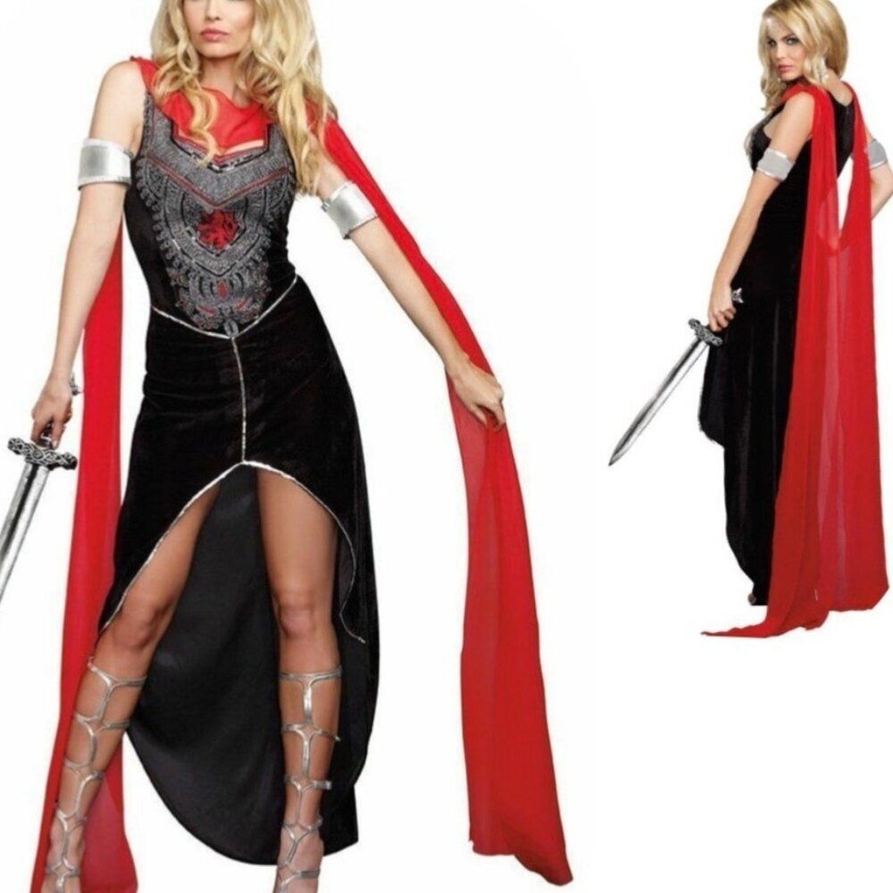 Warrior Costume Scandalous Sword Warrior Costume Size Small